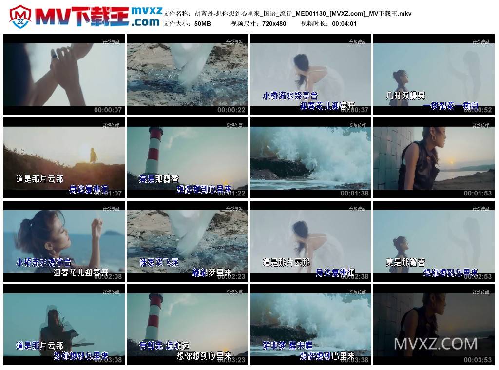 胡蜜丹-想你想到心里来_国语_流行_MED01130
